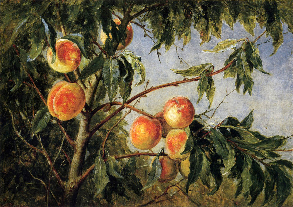 peaches